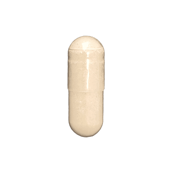 Tongkat Ali