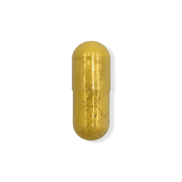 Berberine 500mg supplement